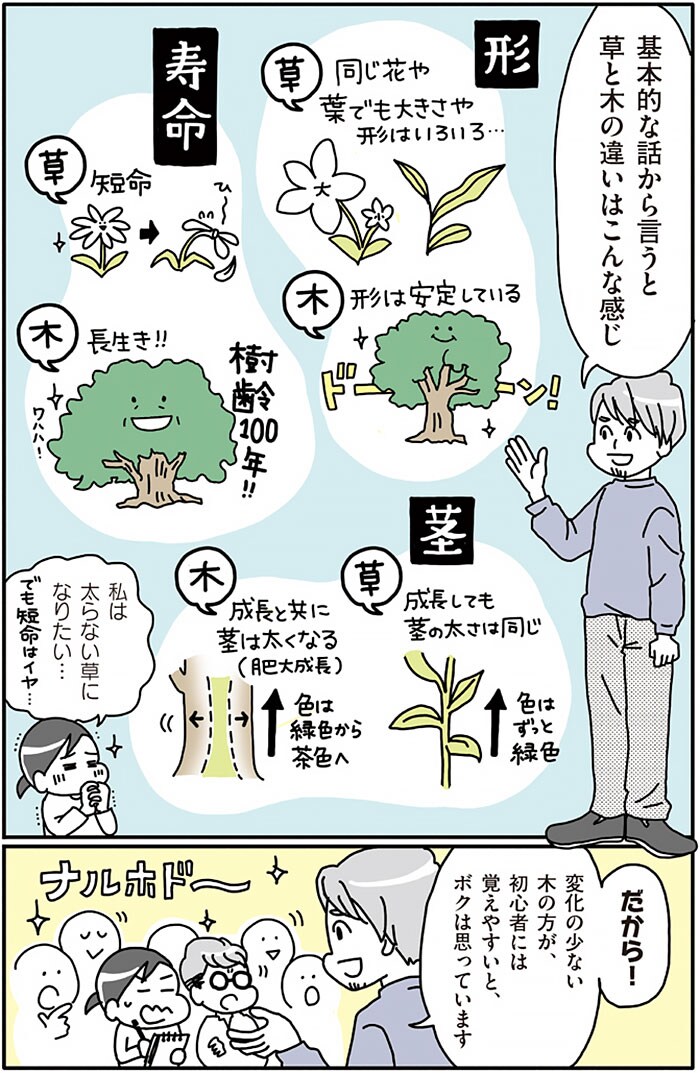 『まちなか植物観察のススメ』より。