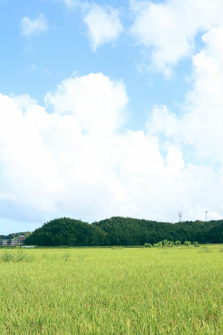 カモ谷製作舎 ノ KOFFEE SHOP。（撮影：高木晴香）