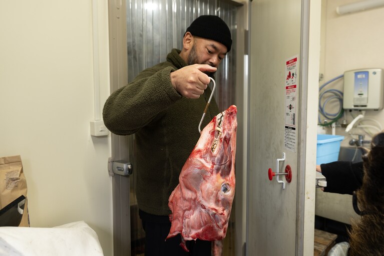 きれいに処理された猪の頭部は、鮮度を保つマイナスの60度のスーパー冷凍庫で保管されます。