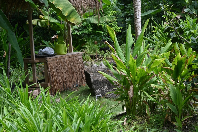 リゾート島内の農園。レストランで使う、様々な野菜を育てています。