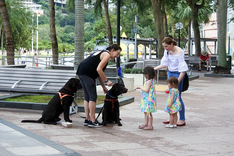 ビーチ沿いには遊歩道や屋外スポーツ器具などがあり、地元の人々の交流の場に。