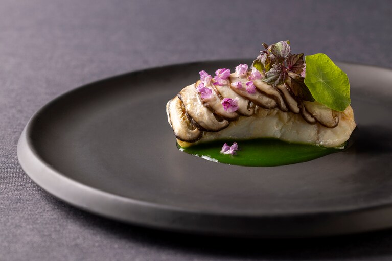 魚料理「富山産キジハタと紅ズワイ蟹 エカイユ仕立て 小松菜のクーリ」。