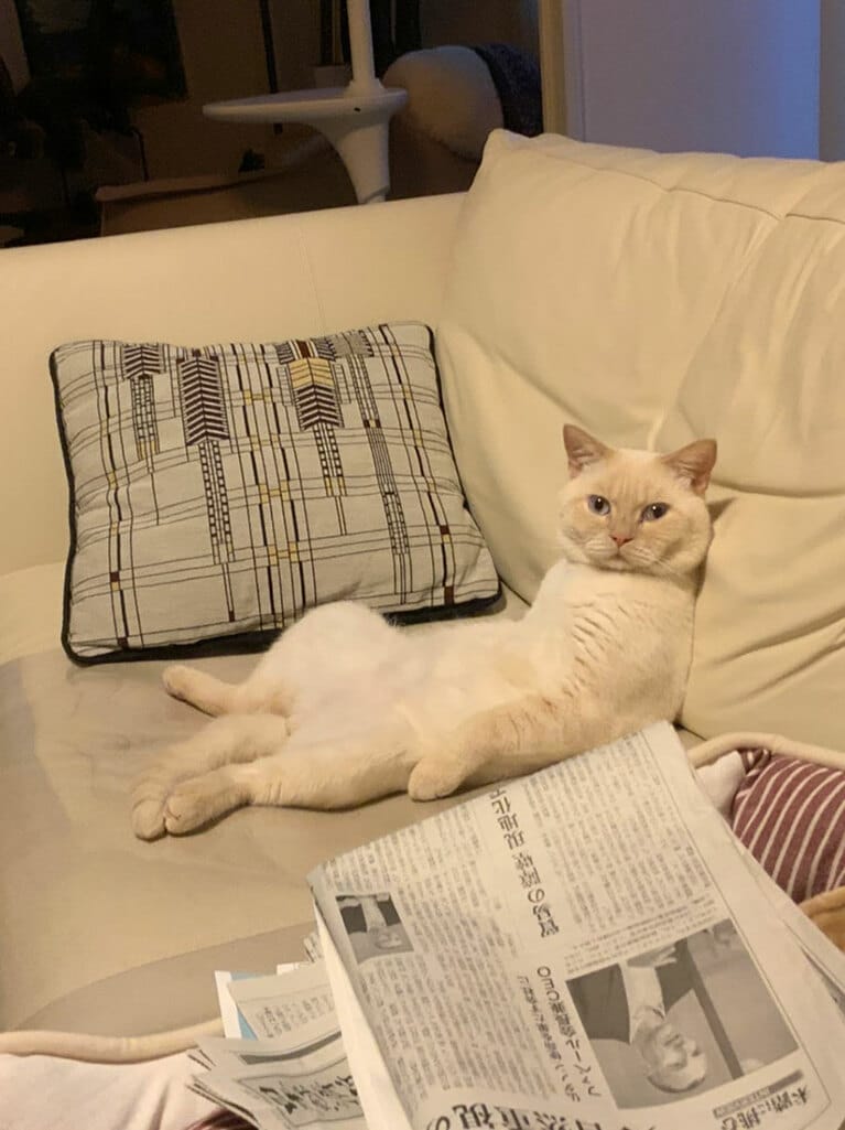 【グランプリNo.2】マルス ♂ 2歳。