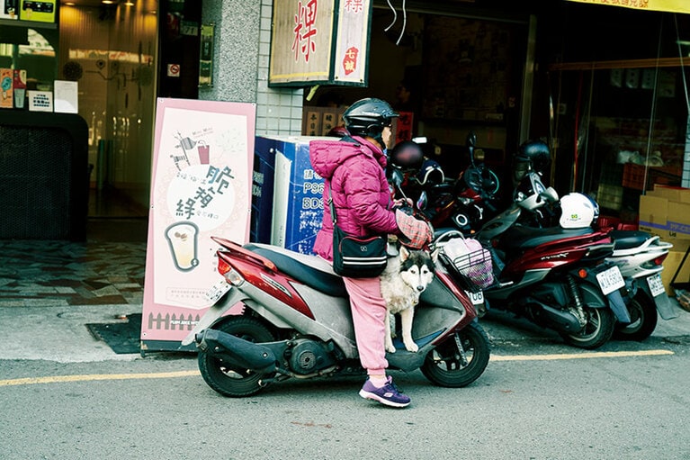 ワンコがひょいとバイクに乗って家路に向かう。よく見る定番の風景。