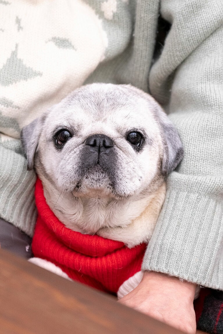 アザーカット。