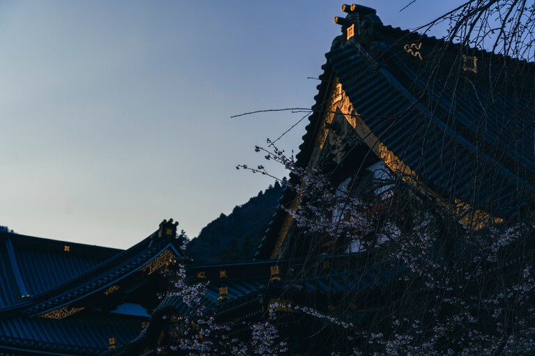 夜明け前の身延山久遠寺。澄んだ空気に満ちている。