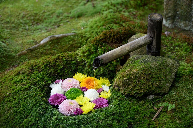 比叡山の門前町にある旧竹林院。秋の景色とともに花手水を楽しんで。
