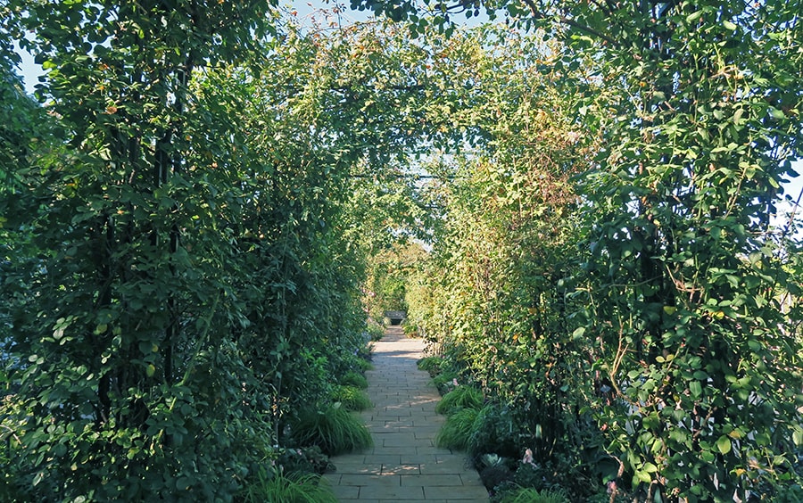 「イングリッシュローズの庭」では、緑のアーチに囲まれて休むことができます。
