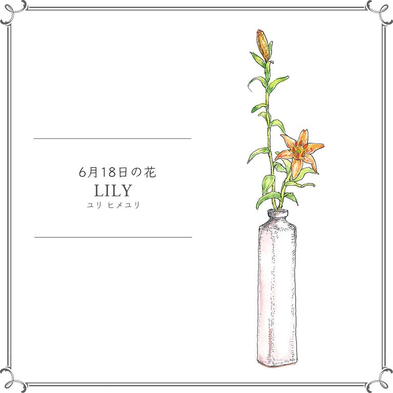 【6月18日の花】ユリ「ヒメユリ」