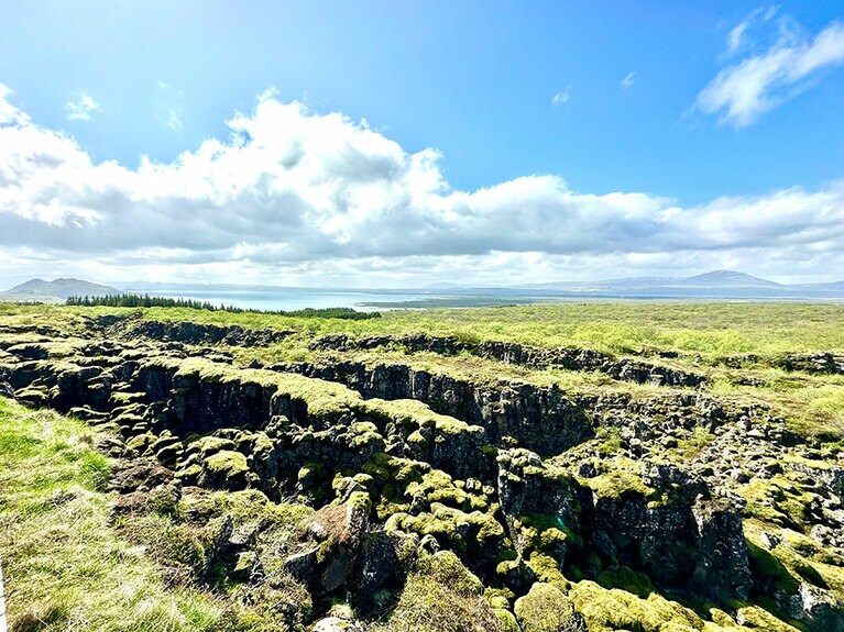 高台に上がるとあちこちに苔むしたギャウが。