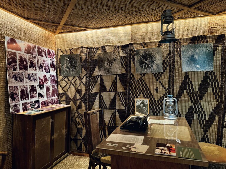 ダイアンが生前暮らしたKarisokeの森にあった小屋の忠実なレプリカも展示されている。©Yumi Yamaguchi