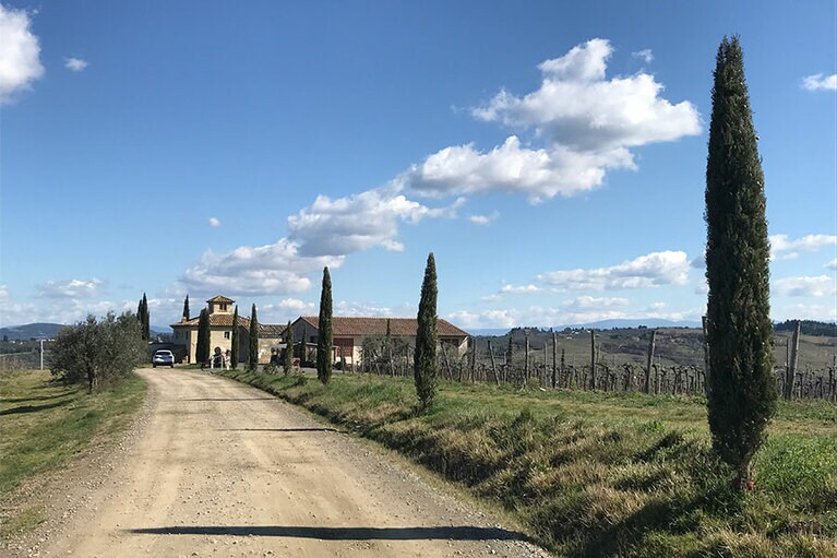 いつもならワイナリービジターも多い道。今は野生動物が出没。