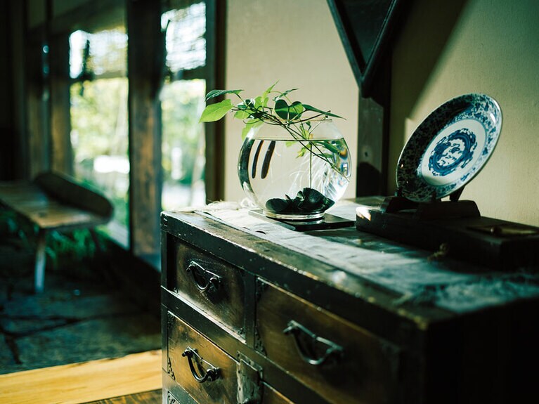 【島宿真里】Photo: Mitsugu Uehara