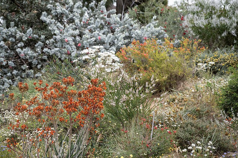 花々のグラデーションも見事。