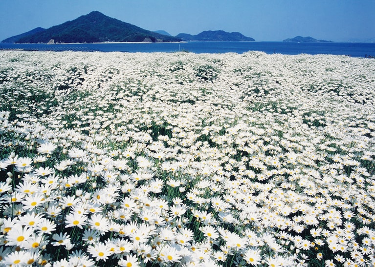 フラワーパーク浦島。