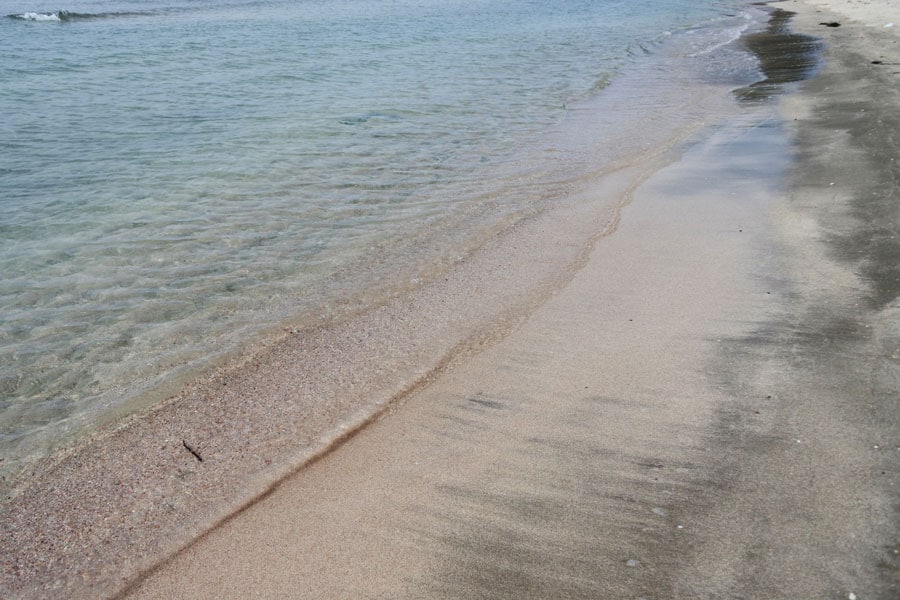無数の貝殻が落ちている若狭和田ビーチ。波打ち際はほんのりピンク色。