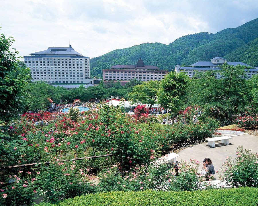 花巻温泉のバラ園。岩手県観光連盟