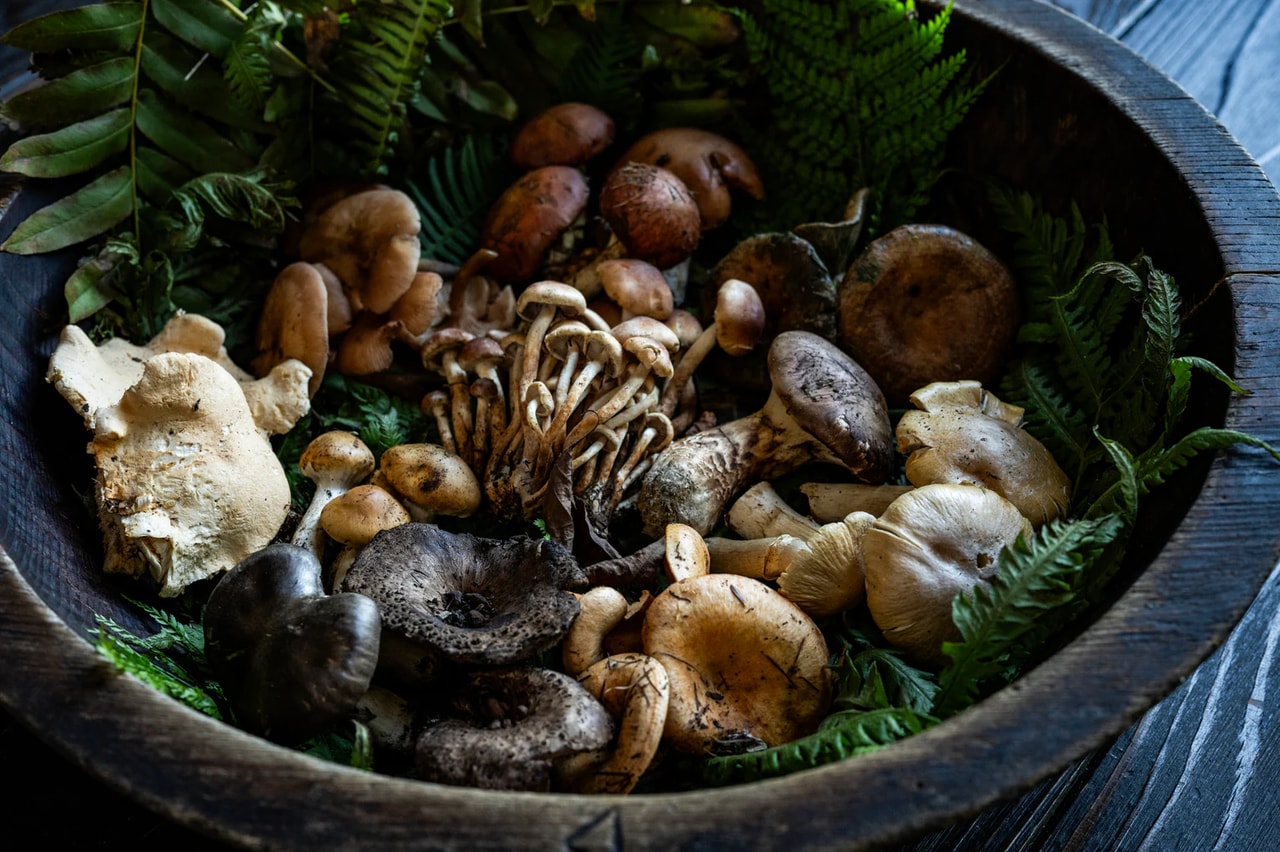 ウラベニホテイシメジ、コウタケ、ナラタケ、ハツタケ、クリタケといった天然のキノコ。