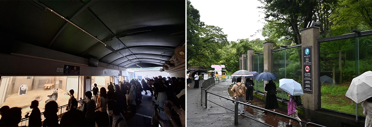 左：東園パンダ舎にいたパンダたちのパネルを設置。右：東園パンダ舎の屋外エリア。（2026年8月16日、筆者撮影）