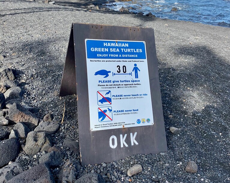 カメを見るときの注意書き。