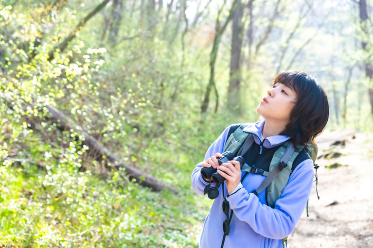 鳥のさえずりが聞こえたらその方向を探してみよう。
