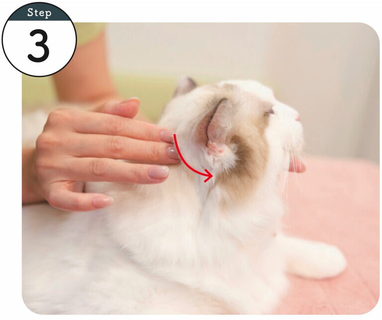 使用するツボ：完骨。