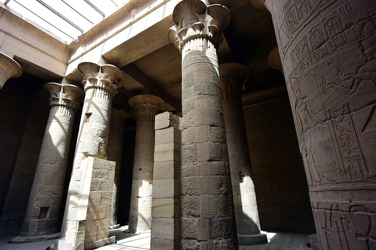 思わず柱を見上げる列柱室。