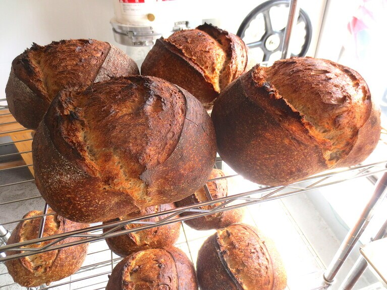 焼きたての大きな田舎パン。