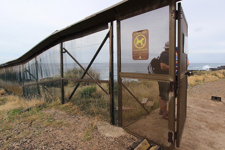 ここから先はコアホウドリの保護区。フェンスに掲げられた看板は、犬の散歩厳禁のサイン。扉の手前には靴の土を落とすブラシがあるので、忘れずに靴裏のお掃除をしよう。