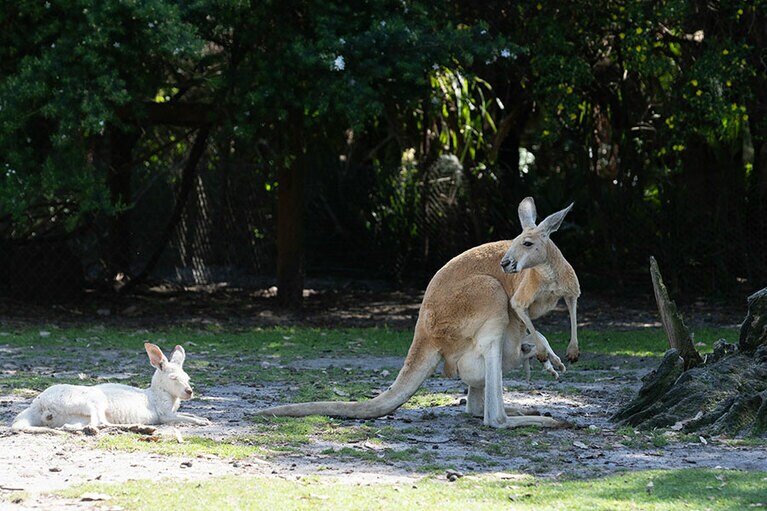 みんなゆったり。