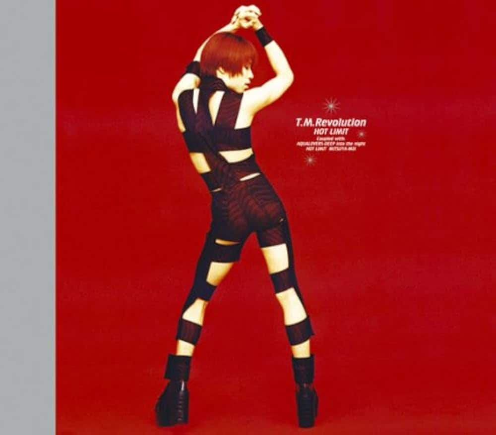 1998年6月24日発売の「HOT LIMIT」（発売元／アンティノスレコード）。当時から、ガムテープを美しく巻いたようだと評判だった衣装。驚くべきことに公式チャンネルが「T.M.R.風 黒ガムテ巻き方講座」を公開していた。この痒い所に手が届くサービス精神は、惚れる一択。30周年を祝してT.M.R.になりきりたいという方、ぜひ！