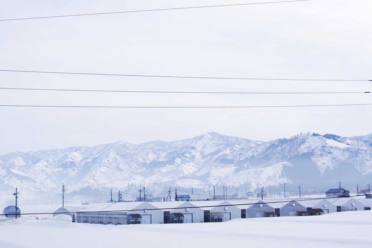 豪雪地帯だからこそ発達した塩沢の織物。