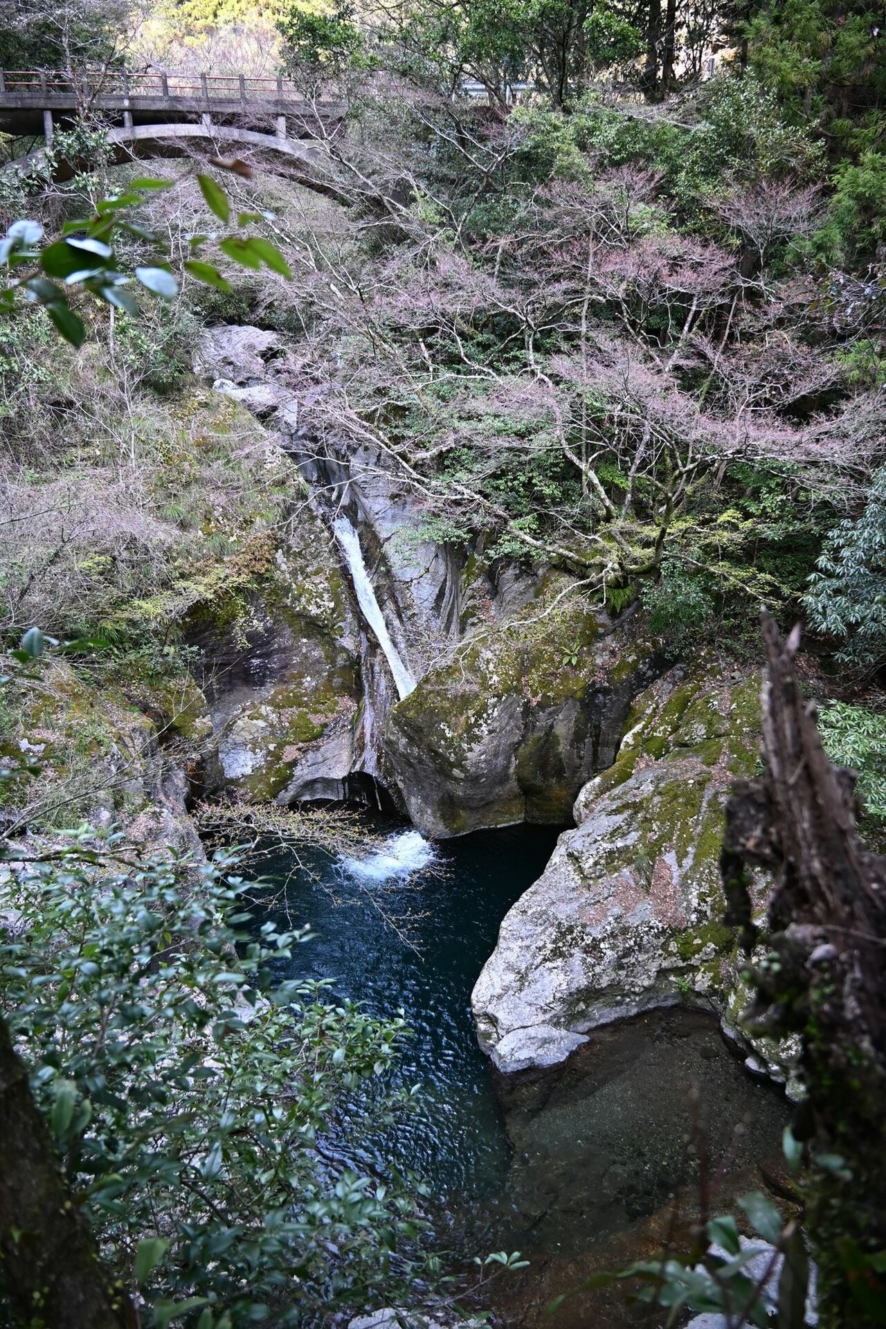 竜宮渕。深く青い渕に木綿を流したような滝が注ぐ(中津渓谷)