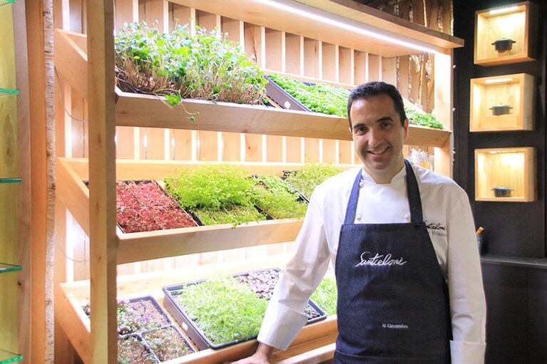 オスカル・ベラスコ氏。料理で使われるハーブ類をキッチン内で自家栽培している。