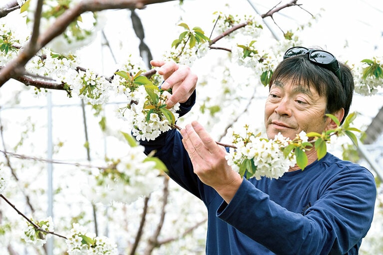 真剣にジュノハートを観察する留目さん。