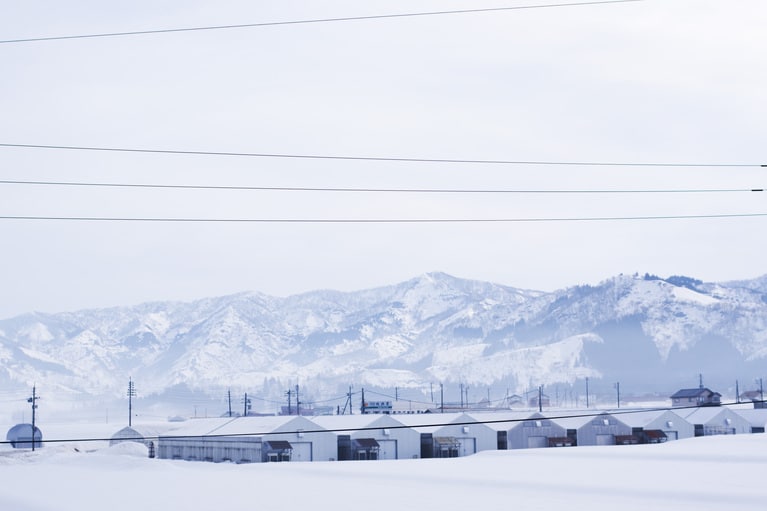 豪雪地帯だからこそ発達した塩沢の織物。