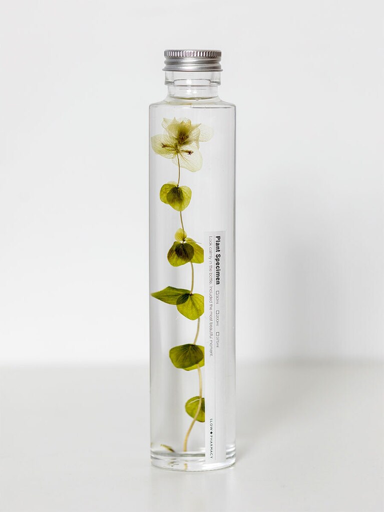 アジサイをボトリング W39,000。