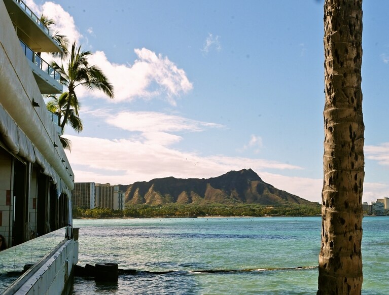 左側の店が「モンキーポッド・キッチン」で、シーサイドの席は朝食でも予約がベター。モンキーポッドは木の名前で、大きく育った木がホノルルのあちこちで見られ、涼やかな木陰を作っている。