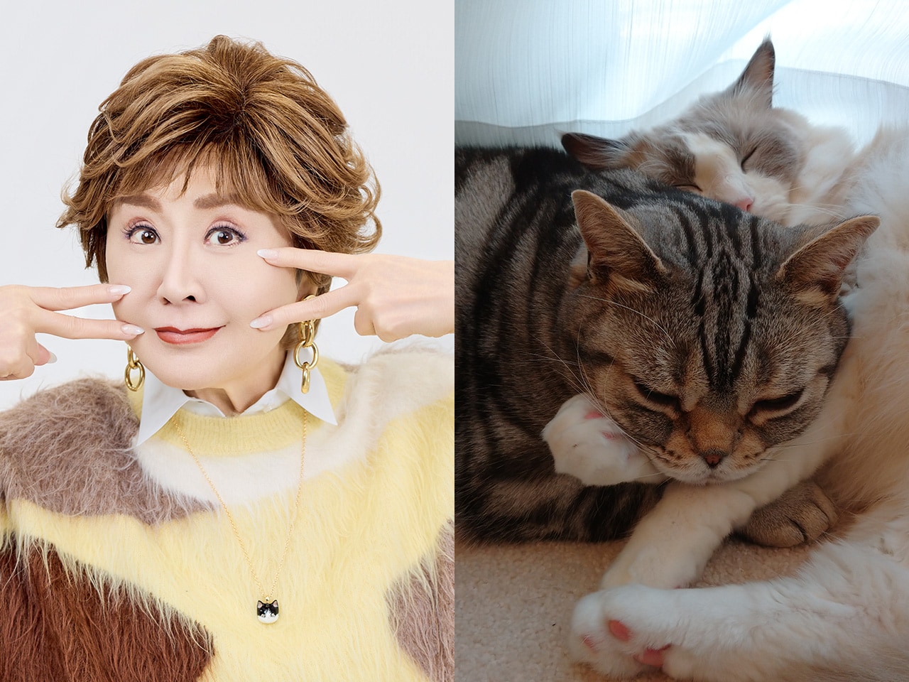 小林幸子さんと愛猫のジャコ助くん（左）、コウの助くん（右）。