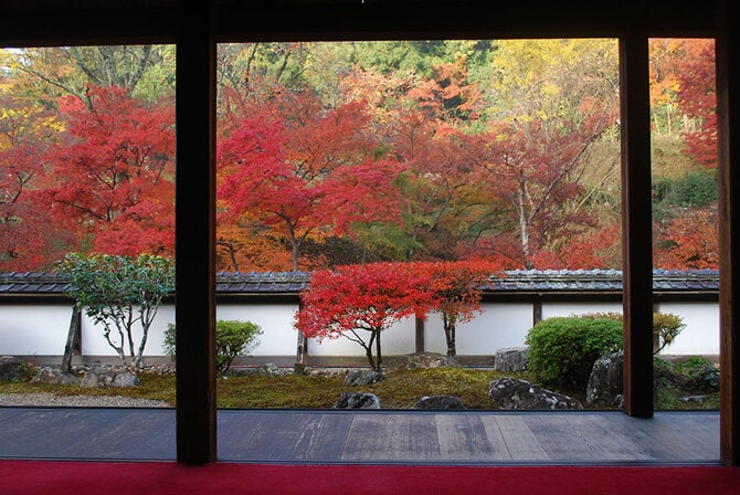 奈良県 2022年版】 秋の絶景・風物詩6選 錦の里と呼ばれる奈良屈指の