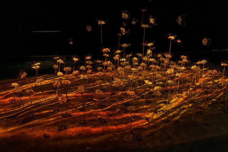 「旧扇吉もろみ倉」に展示されているsaiho ＋ 林イグネル小百合の作品。