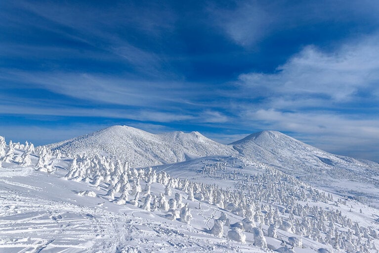【青森県】八甲田の樹氷。