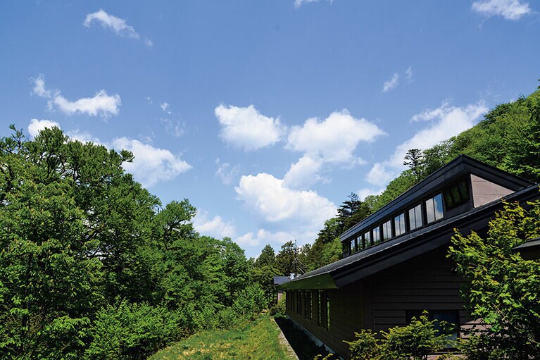 国立公園のなかにひっそりとある。夜は原始的な闇夜と満天の星が楽しめる。