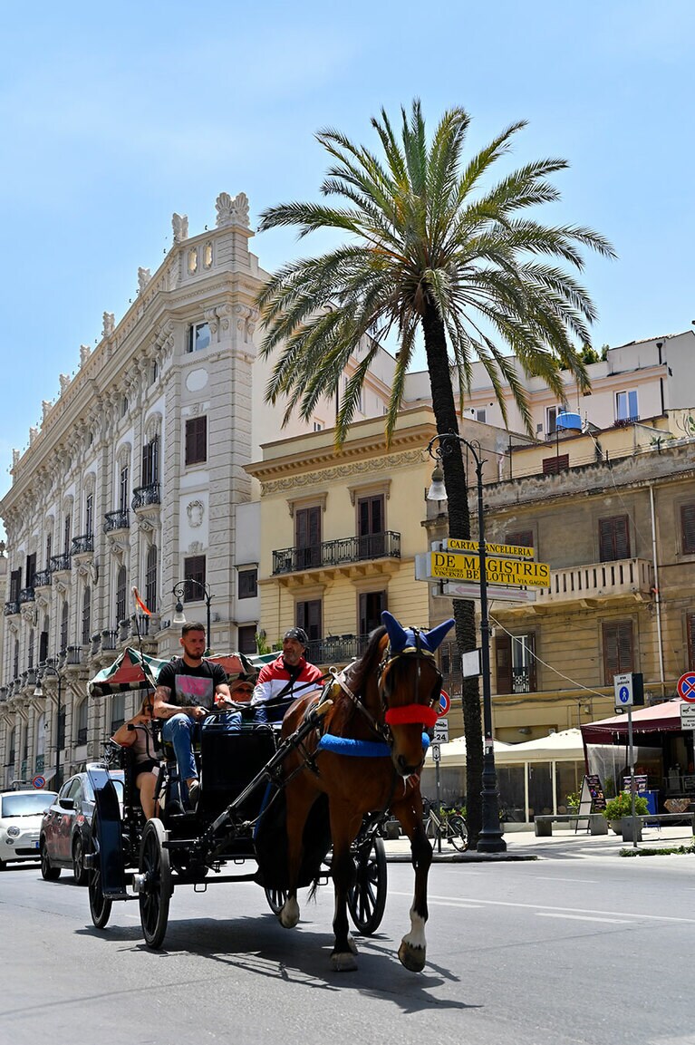 ヤシの木が南の島ならではの風情を醸す。