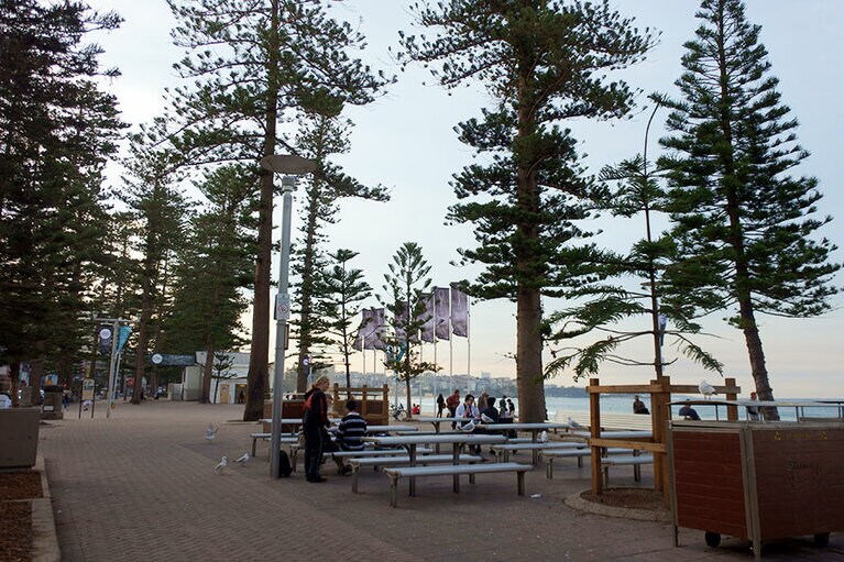 ノーフォークパインのプロムナード。イングランドのブライトンをモデルにしているそうです。