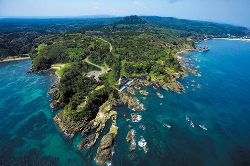 【ランプの宿】