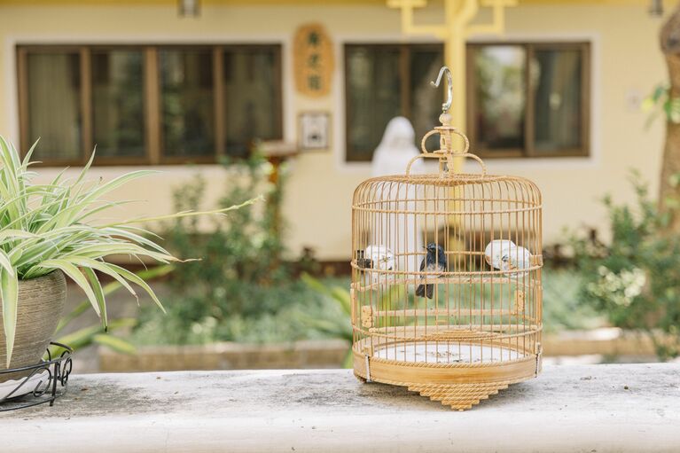 朝の教会の中庭に、鳥籠を手に散歩する人の姿。東西の文化が溶け合う、マカオの日常。