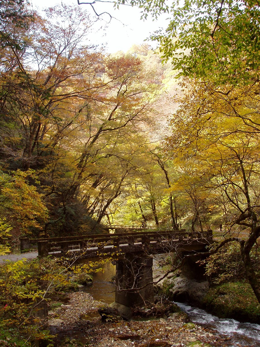 紅葉のシーズンも見どころのひとつ。写真提供：広島県