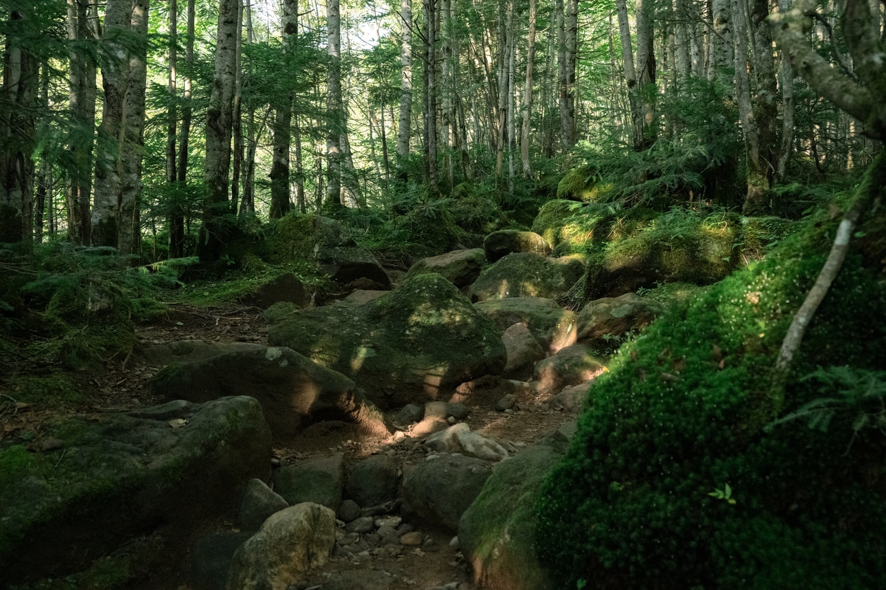 長野県・硫黄岳の旅＜赤岳鉱泉へ＞