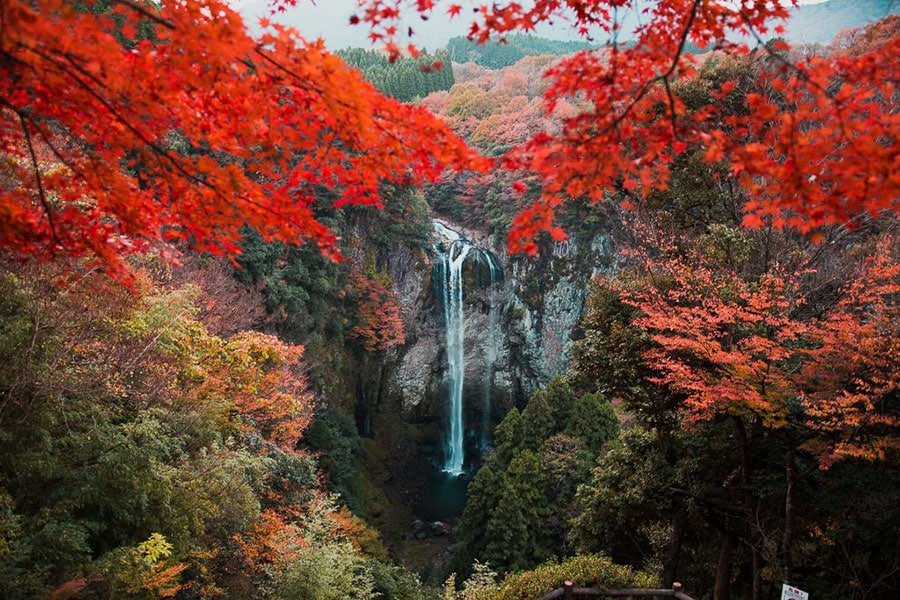 【大分県】福貴野の滝。